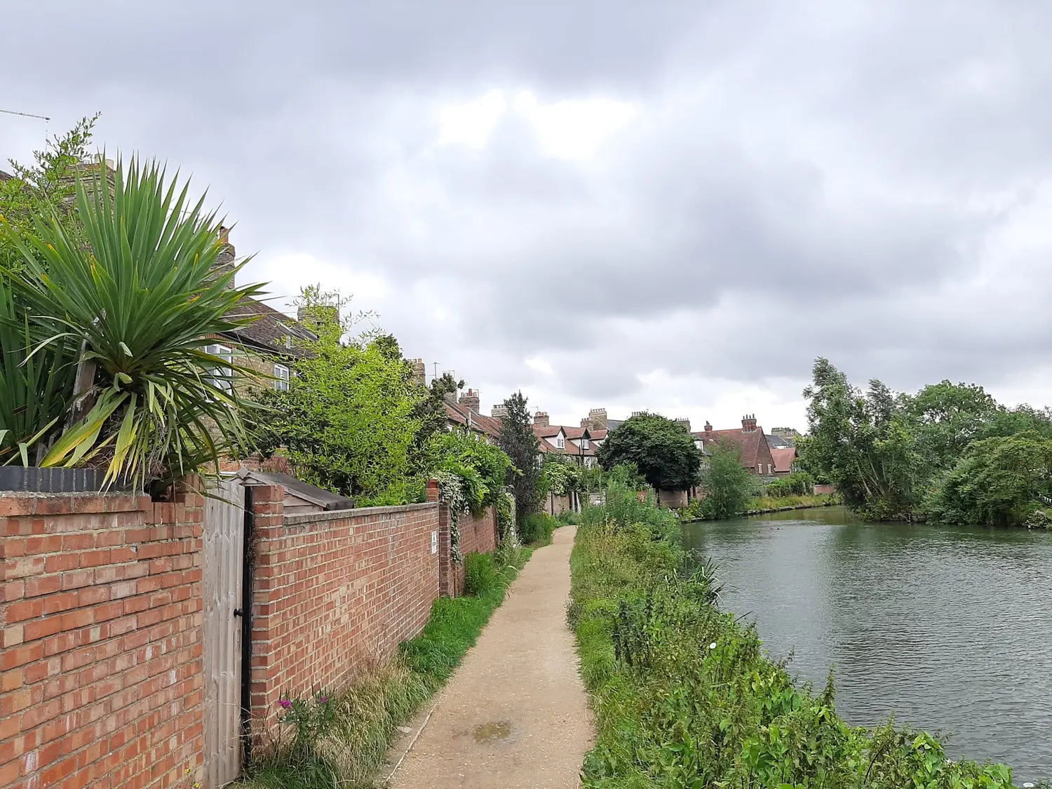 area-guide-greenery - College and County