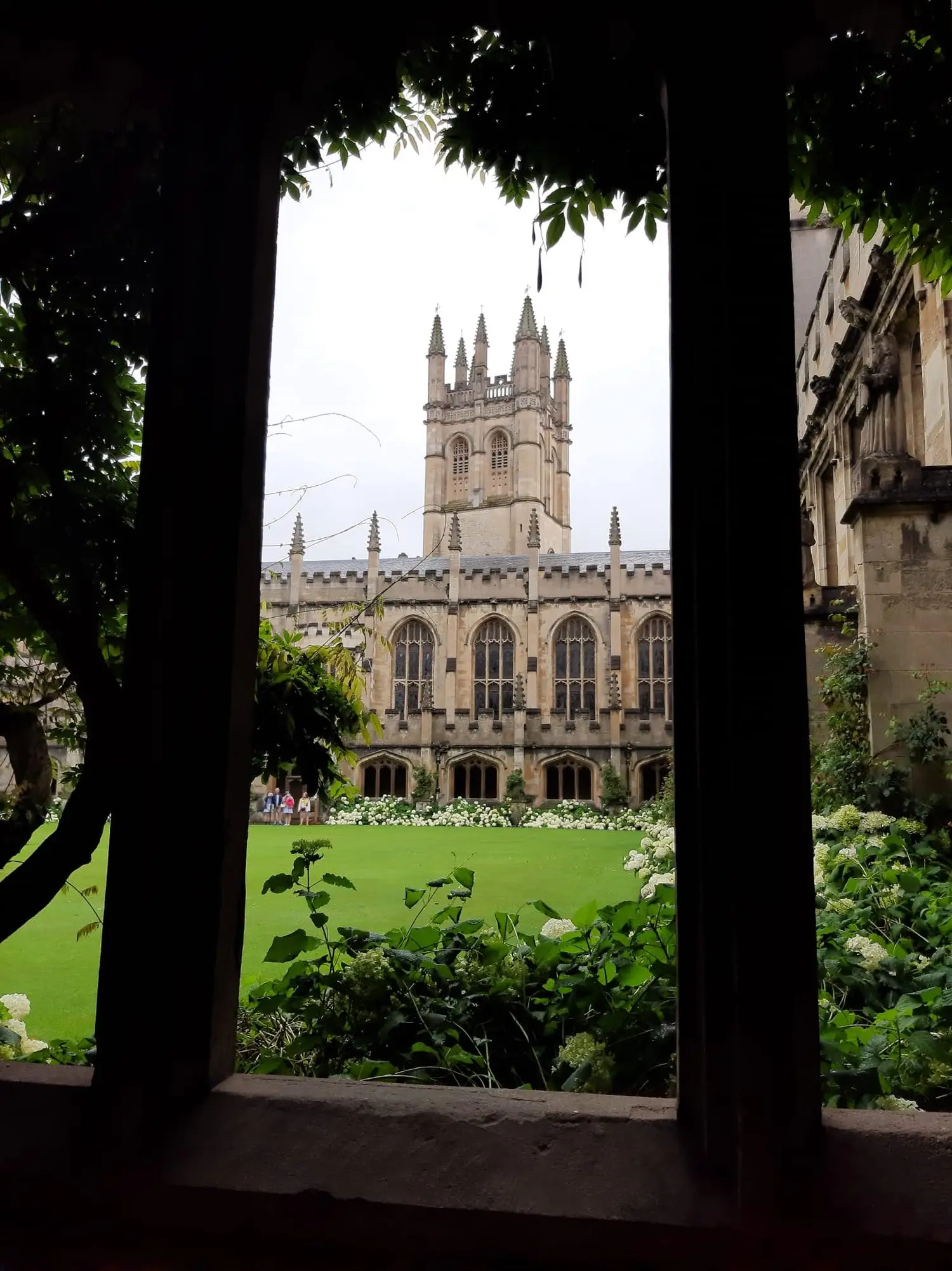 area-guide-tomb - College and County